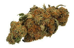 Utah scraps state-run dispensary system for medical cannabis