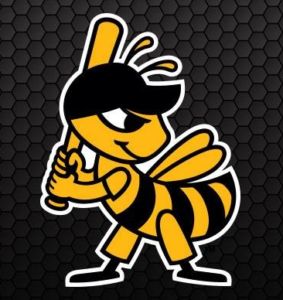 Bees Outslug Aces