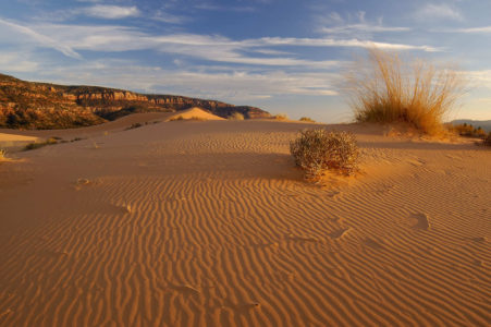 13-year-old boy dies at Coral Pink Sand Dunes State Park