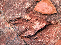 BLM Agrees To Stop Work At Dinosaur Tracksite Near Moab