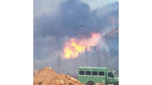 Dry Canyon Fire At 30 Acres Currently