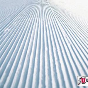 University of Utah Skiers Earn Academic All-American Honors