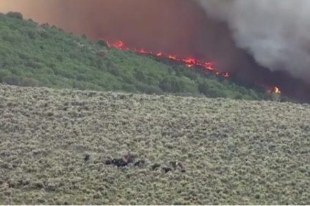 Willow Patch Fire in Sevier County Continues to Grow