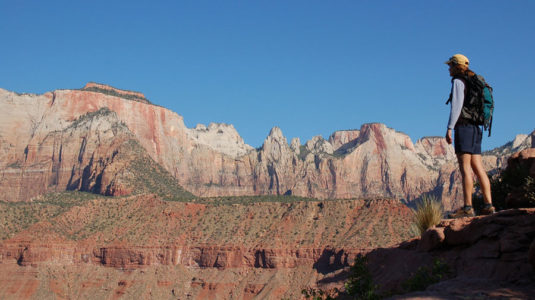 Search and rescue operation underway in Zion National Park