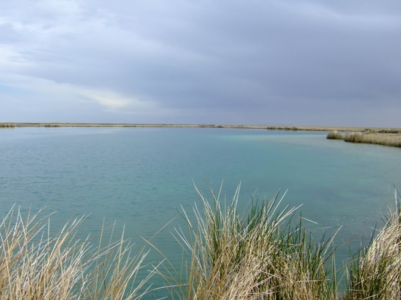 10-year-old boy dies while scuba diving in northwest Utah