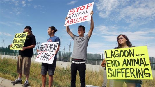 Animal rights group to protest elk’s death at Lagoon park