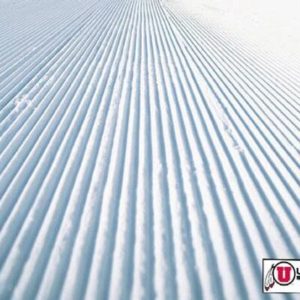 Utah Skiing Adds Two New Coaches