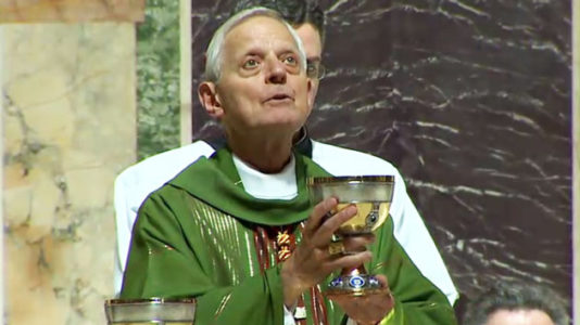 Embattled US Catholic Cardinal Donald Wuerl to meet with Pope Francis about possible resignation over abuse scandal