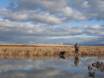 US Interior Department expands hunting at Utah bird refuge