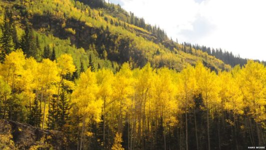 Utah and federal officials sign agreement on forest planning