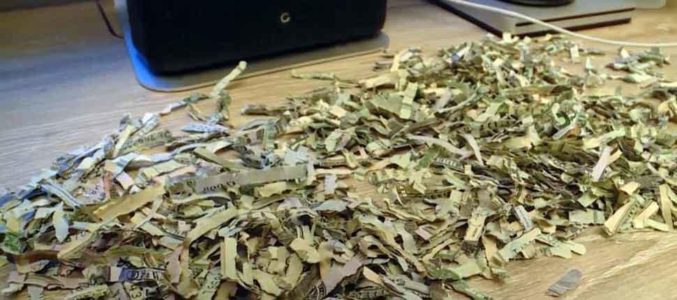 Toddler shreds more than $1,000 in cash