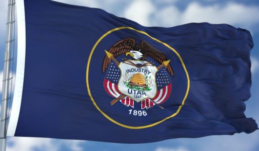 New Flag Designs Go On Display At State Capitol