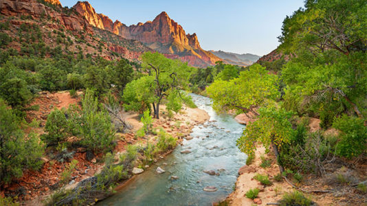 Arizona man rescued at Zion National Park after getting trapped in quicksand