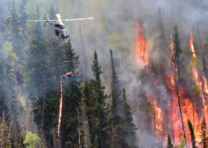 Helicopter torch ignitions used on Monroe Mountain on 6/20/19.
Courtesy National Forest Service