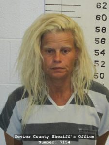 Woman facing multiple charges after burglary in Richfield