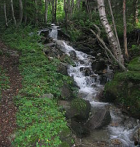 Officials: ‘Fecal time bomb’ threatens Utah backcountry