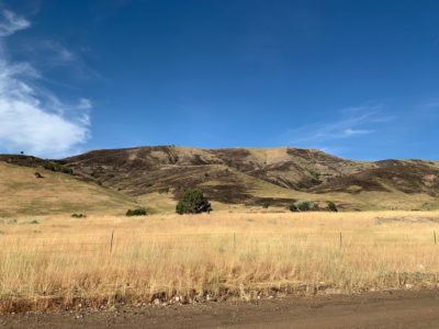 Crews gain some containment on Juab County wildfire