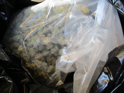 Richfield City Police make marijuana bust