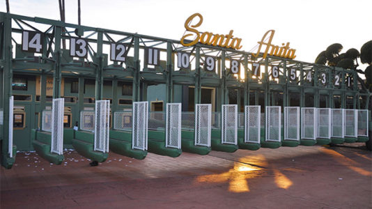 33rd horse dies at Santa Anita track of suspected heart attack, trainer says