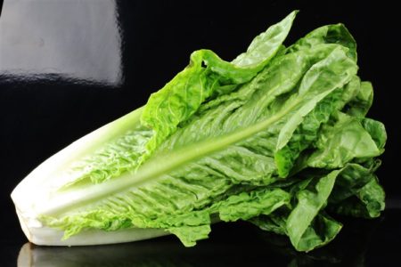 Romaine lettuce recall due to E. coli