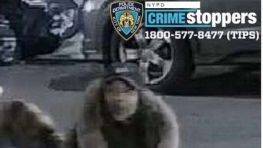 Passenger slashes mother in face with knife after child throws up on bus