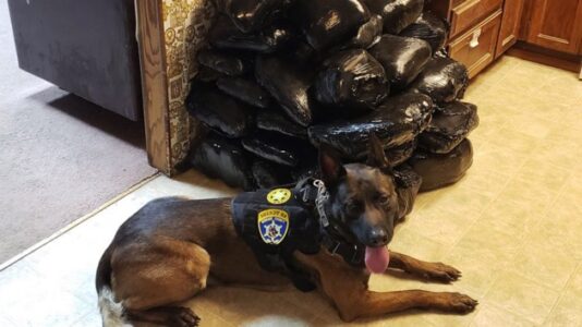 K9 helps seize nearly 400 pounds of meth during traffic stop