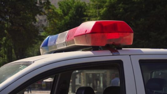 Pregnant mom and infant son found dead in park ruled a murder-suicide