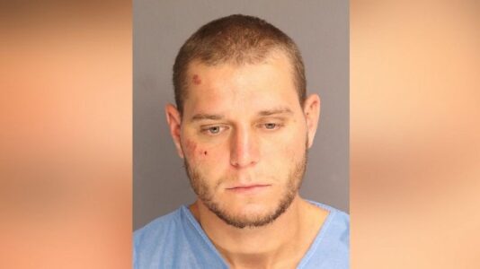 Airline passenger attacks flight attendant, injures six police officers: Authorities