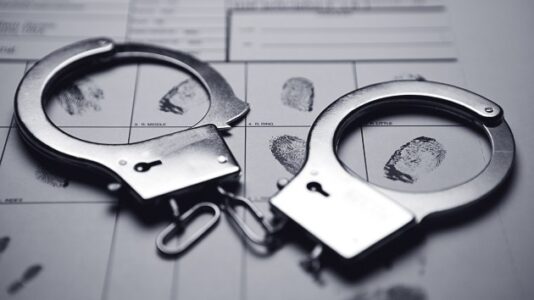 School shooting ‘conspiracy theorist’ arrested after tormenting families: Police