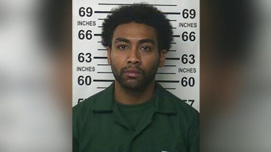 Felon at large after escaping parole custody in New York City