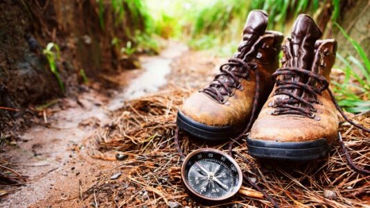How couple in their 70s survived eight days in California wilderness