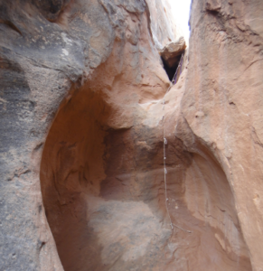 Woman dies while rappelling in Wayne County slot canyon