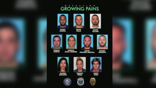 Crime ring suspects stalked rich victims to steal millions in jewelry: Authorities