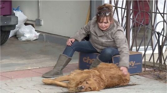 Dog delivers groceries to neighbor in need during coronavirus quarantine