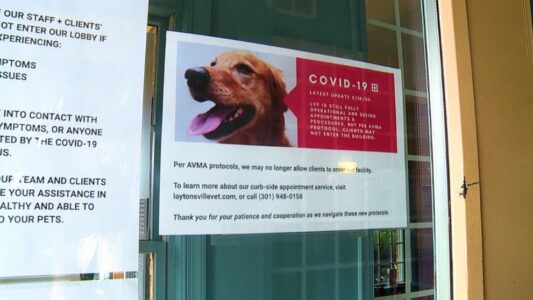 Maryland veterinary clinic using ‘curbside check-in’ to stem coronavirus