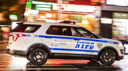 Disturbing video shows man scream for help as police officers make aggressive arrest over smoking weed