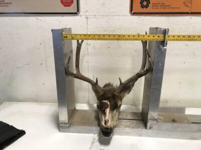 East Carbon man charged with wanton destruction in connection with illegal killing of buck