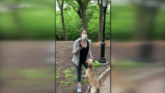 Investigation launched into Central Park incident involving white woman and black man