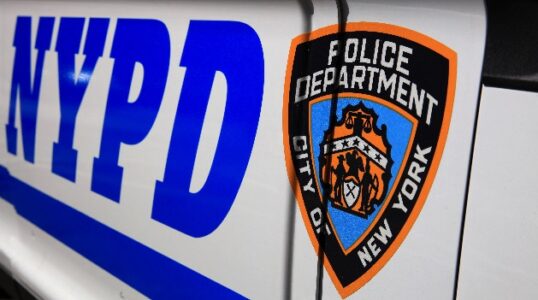 NYPD officer put on modified duty after violent social distancing violation arrest filmed