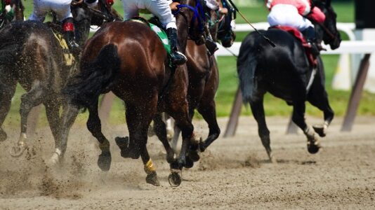 Belmont Stakes set for June 20 without fans in the bleachers