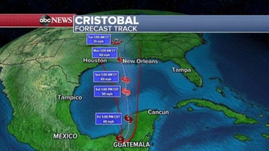 Tropical Storm Cristobal forecast to re-strengthen before path reaches US