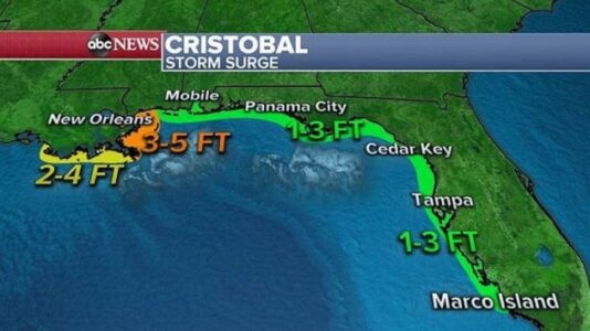 Tropical Storm Cristobal makes landfall in southeast Louisiana