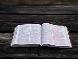 UT State Senator Criticizes School Bible Ban, Says Inappropriate Books Remain