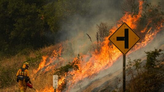 How climate change affects wildfires, like those in the West, and makes them worse