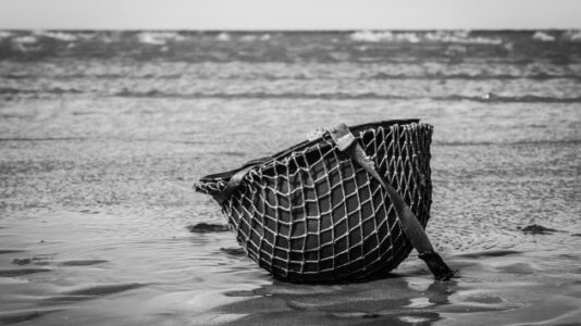 New push to honor Black D-Day hero denied valor award