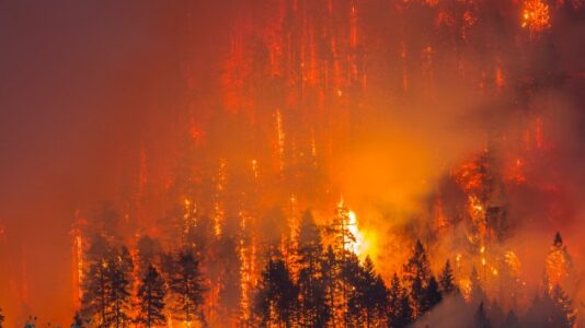 West Coast grapples with world’s worst air quality as Oregon, California wildfires rage