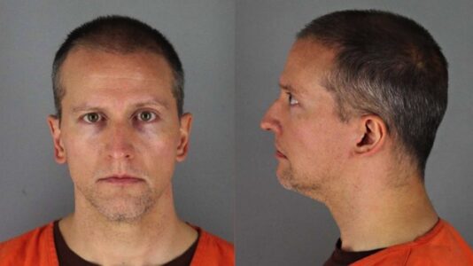 Derek Chauvin, ex-officer seen kneeling on George Floyd’s neck, released after posting $1 million bail