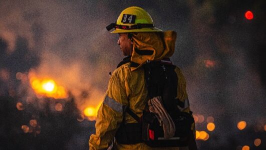 Tree branches hitting power line may have sparked massive Bobcat Fire: Utility company