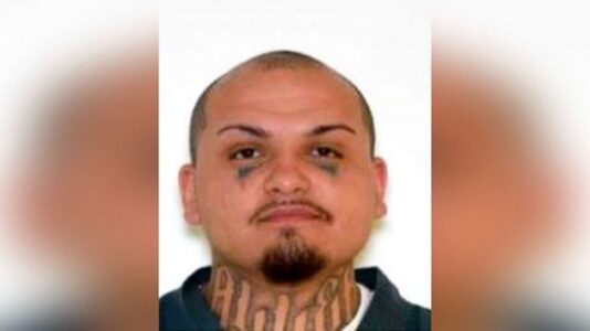 ‘Dangerous’ person of interest arrested after remains of three people found