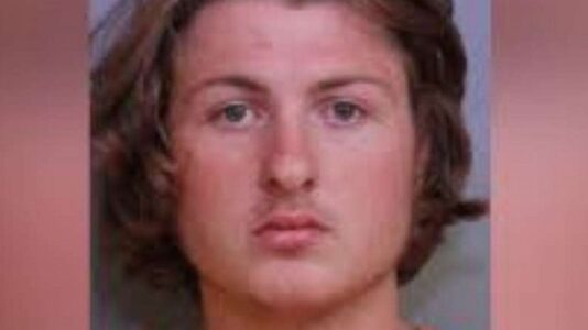 Four teens attack boy at home, run his mother over with a van following romantic dispute